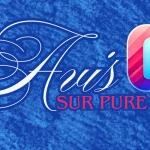 Avis Sur Pure IPTV
